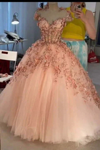 Princess Ball Gown Dusty Pink 3D Floral Appliques Tulle  Quinceanera Dress GJS749