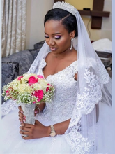 Ball Gown Wedding Dresses V Neck Cathedral Train Lace Tulle Lace Over Satin Regular Straps Beautiful Back Plus Size Wedding Dress with Appliques