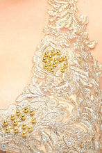 A-Line V-neck Plus size Long Sleeveless Evening Dresses with Appliques