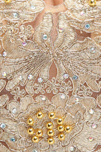 A-Line V-neck Plus size Long Sleeveless Evening Dresses with Appliques