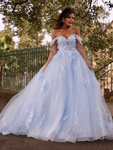 Ball Gown Tulle Applique Off-the-Shoulder Sleeveless Prom Dresses