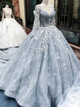 Romantic Light Grey Long Sleeves Floral Lace Applique Court Train  Ball Gown  GJS662